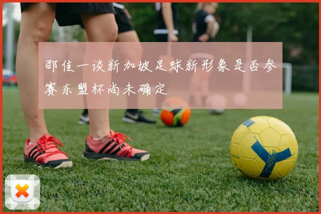 邵佳一谈新加坡足球新形象是否参赛东盟杯尚未确定